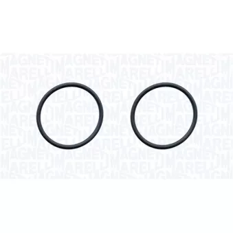 Pompe à eau, refroidissement du moteur MAGNETI MARELLI 350984316000