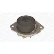 Pompe à eau, refroidissement du moteur MAGNETI MARELLI 350984318000 - Visuel 1