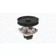 Pompe à eau, refroidissement du moteur MAGNETI MARELLI 350984320000 - Visuel 1