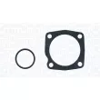 Pompe à eau, refroidissement du moteur MAGNETI MARELLI 350984323000 - Visuel 1