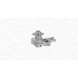 Pompe à eau, refroidissement du moteur MAGNETI MARELLI 350984326000 - Visuel 1