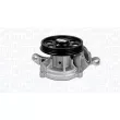 Pompe à eau, refroidissement du moteur MAGNETI MARELLI 350984341000 - Visuel 1