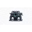 Module de tube d'admission MAGNETI MARELLI 802000181641 - Visuel 1
