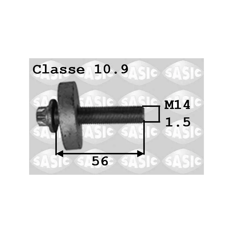 Vis de poulie SASIC 8704010