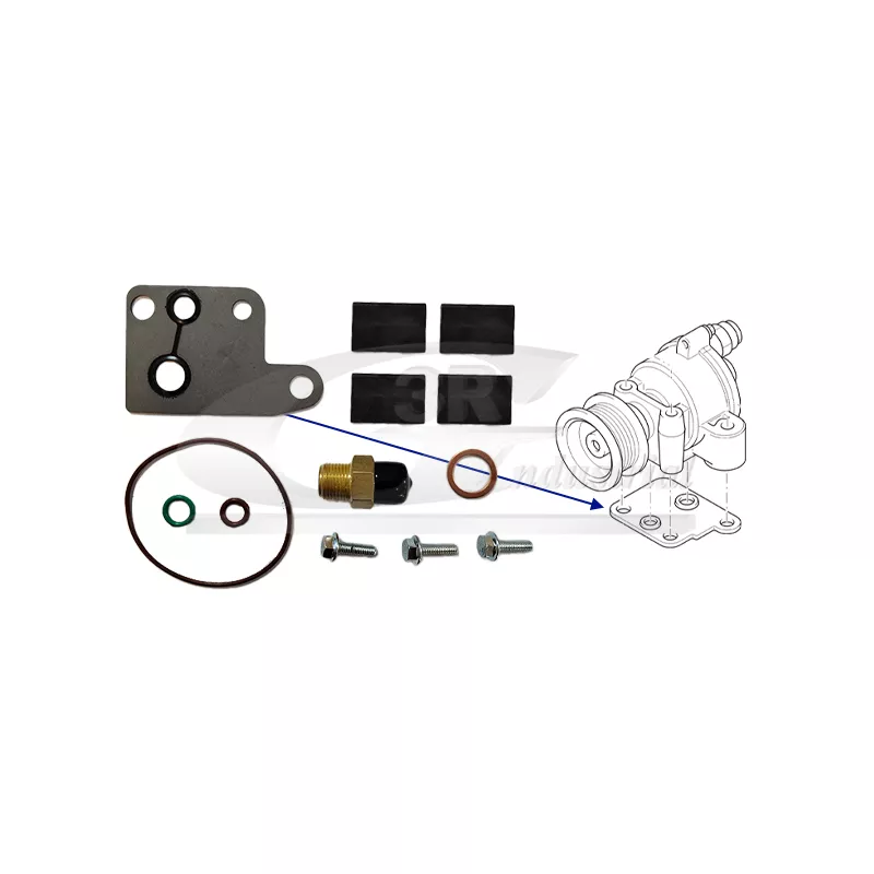 Kit de réparation, pompe à vide (freinage) 3RG 74303