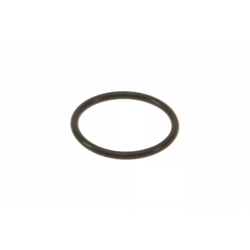 Bague d'étanchéité, porte-injecteur OE WHT000884