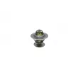 Thermostat d'eau AUTOMEGA 160047210 - Visuel 2