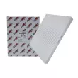Filtre, air de l'habitacle AUTOMEGA 180044810 - Visuel 1