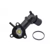Thermostat, liquide de refroidissement AUTOMEGA 250460310 - Visuel 2