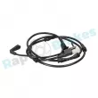 Contact d'avertissement, usure des plaquettes de frein RAP BRAKES R-G0217 - Visuel 1