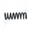 Ressort de suspension PROFLEX PX1-1002 - Visuel 1