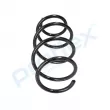 Ressort de suspension PROFLEX PX1-1019 - Visuel 2
