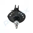 Amortisseur avant droit PROFLEX PX5-FC306 - Visuel 2