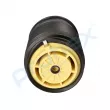 Ressort pneumatique, châssis arrière droit PROFLEX PX9-1019 - Visuel 2