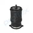 Ressort pneumatique, châssis arrière PROFLEX PX9-1021 - Visuel 1