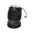 Ressort pneumatique, châssis arrière gauche PROFLEX PX9-1028 - Visuel 1