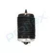 Ressort pneumatique, châssis arrière droit PROFLEX PX9-1033 - Visuel 1