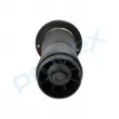 Ressort pneumatique, châssis arrière PROFLEX PX9-1064 - Visuel 2