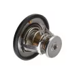 Thermostat, liquide de refroidissement TEKNÖR CTM-SB-000 - Visuel 2