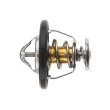 Thermostat, liquide de refroidissement TEKNÖR CTM-SB-000 - Visuel 3