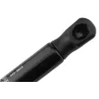 Vérin, capot-moteur TEKNÖR AE-NS-036 - Visuel 3