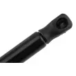 Vérin, capot-moteur TEKNÖR AE-PS-011 - Visuel 3