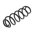 Ressort de suspension TEKNÖR ASZ-CT-017 - Visuel 1