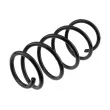 Ressort de suspension TEKNÖR ASZ-PL-034 - Visuel 1