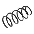 Ressort de suspension TEKNÖR ASZ-PL-035 - Visuel 1