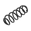 Ressort de suspension TEKNÖR ASZ-VW-019 - Visuel 1