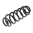 Ressort de suspension TEKNÖR ASZ-VW-067 - Visuel 1