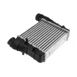 Intercooler, échangeur TEKNÖR CNG-AU-028 - Visuel 2