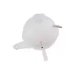 Vase d'expansion, liquide de refroidissement TEKNÖR CZW-FR-025 - Visuel 1