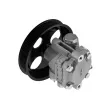 Pompe hydraulique, direction TEKNÖR SPW-MS-020 - Visuel 2