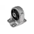 Support moteur TEKNÖR ZPS-PE-029 - Visuel 1