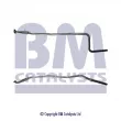 Tuyau d'échappement BM CATALYSTS BM50085 - Visuel 1