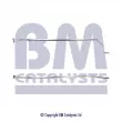 Tuyau d'échappement BM CATALYSTS BM50107 - Visuel 1