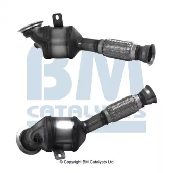 Catalyseur BM CATALYSTS