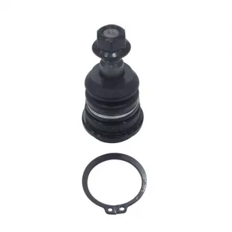 Rotule de suspension CTR CB0205