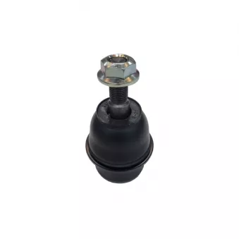 Rotule de suspension CTR CB0571