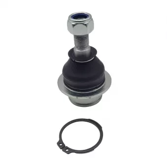 Rotule de suspension CTR CB0584