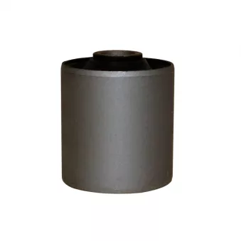 Silent bloc de l'essieu / berceau CTR GV0492