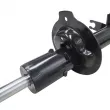 Amortisseur arrière gauche CTR GY0335G - Visuel 3