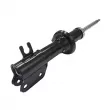 Amortisseur avant droit CTR GY0366G - Visuel 2