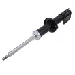Amortisseur avant droit CTR GY0369G - Visuel 1