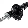 Amortisseur avant gauche CTR GY0471G - Visuel 2