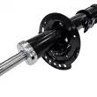 Amortisseur avant gauche CTR GY0473G - Visuel 2