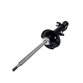 Amortisseur arrière gauche CTR GY0555G
