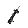 Amortisseur arrière gauche CTR GY0555G - Visuel 3