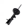 Amortisseur arrière gauche CTR GY0582G - Visuel 2